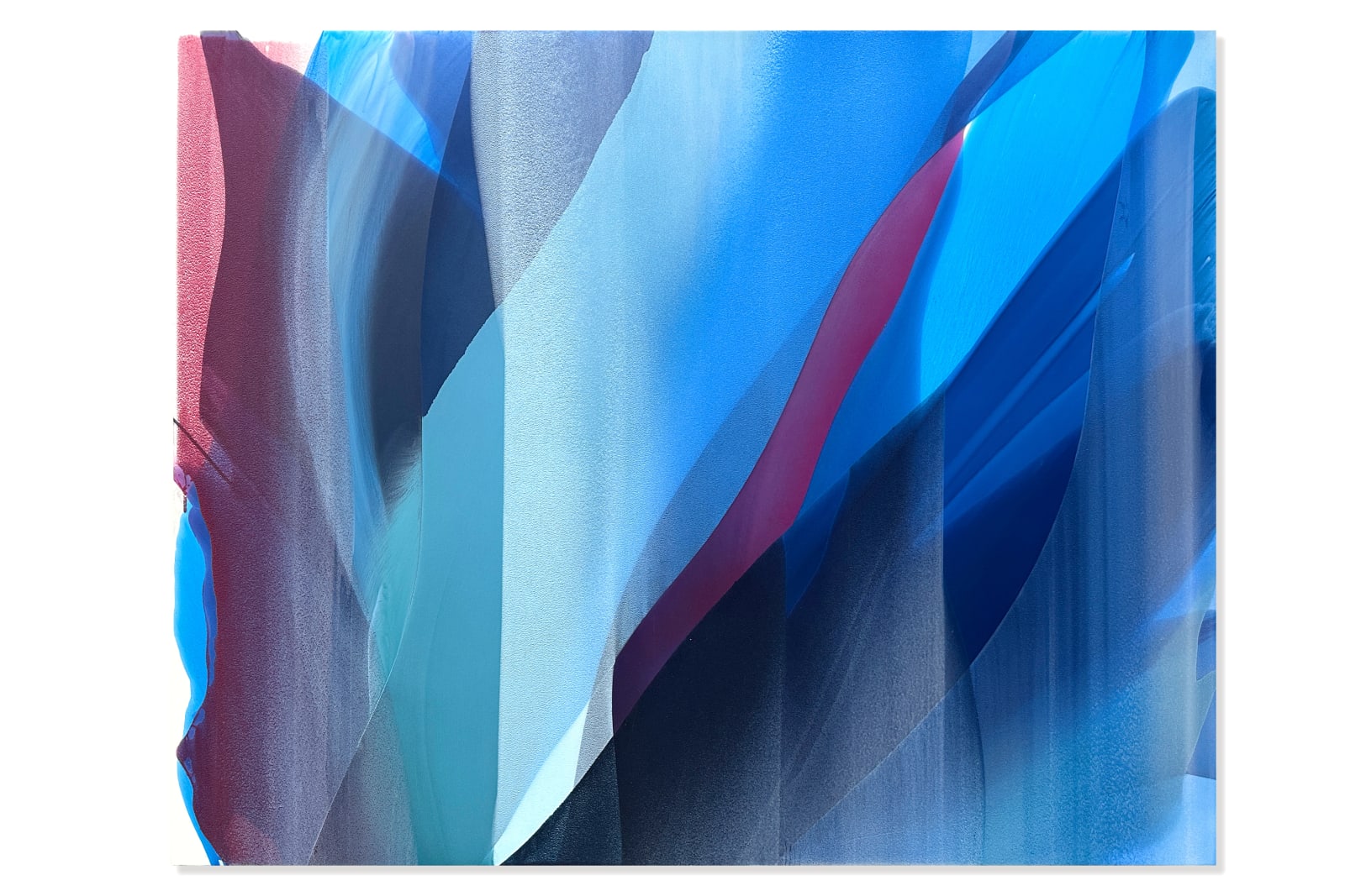 Marina Savashynskaya Dunbar, Blue Garden, 2024
