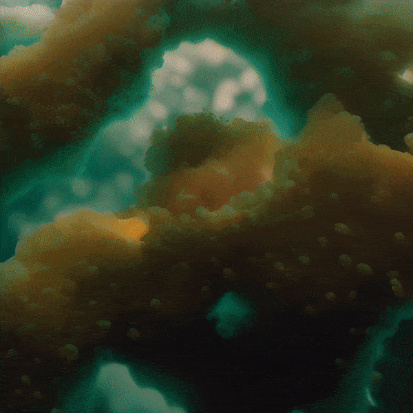 Agoria, {Bohem-IA} #22, 2023