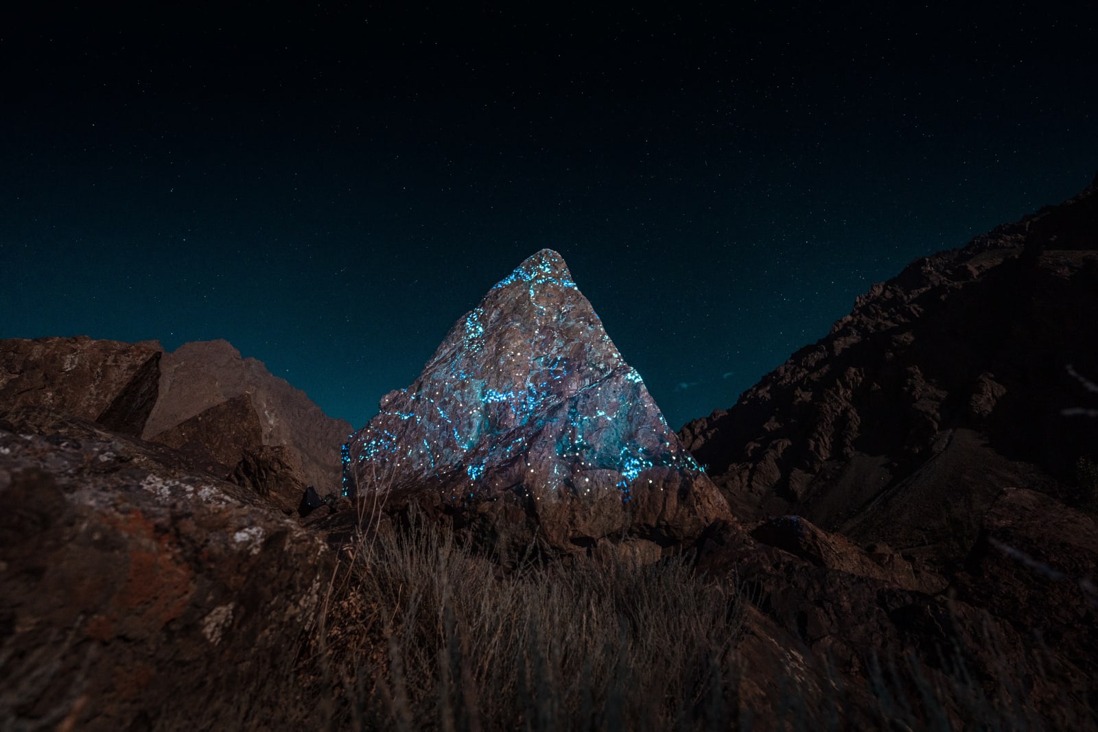 Philipp Frank, Nature Light Art, 2025