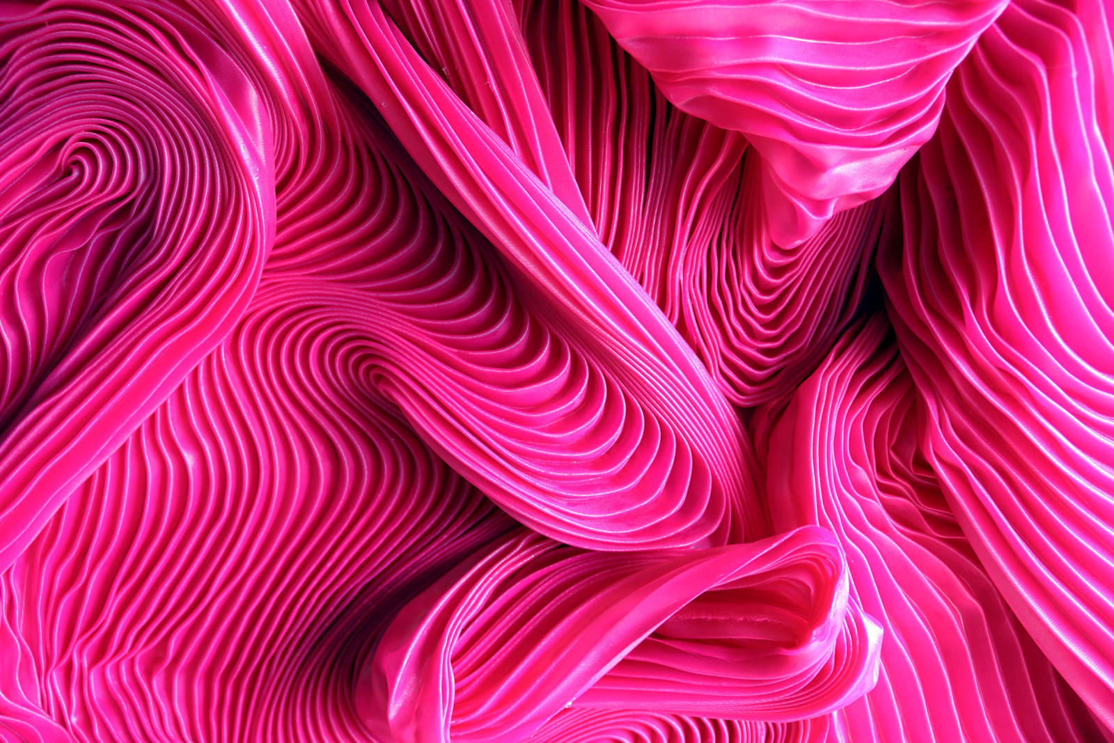 Zak, I am you, but you are not me, 2025