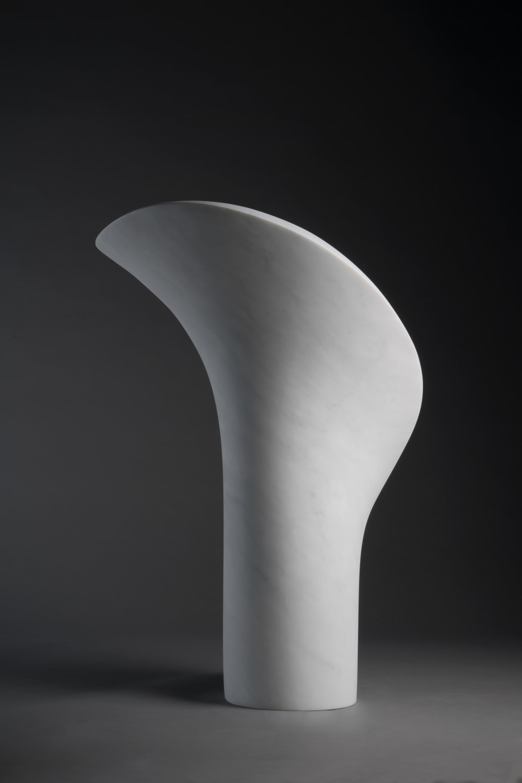 Cynthia Sah, Calla , 2018