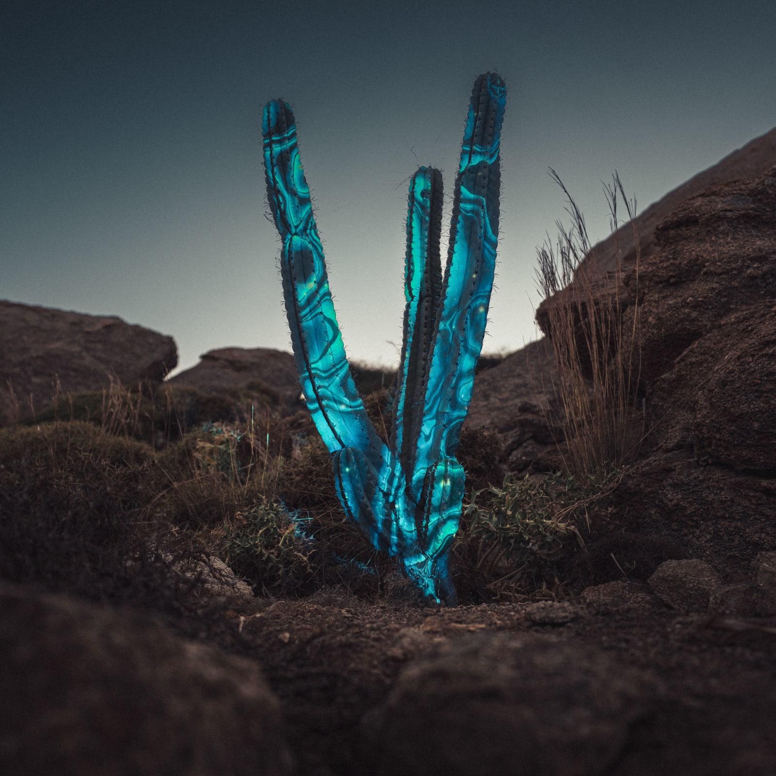 Philipp Frank, Mykonos Lightcodes #16, 2025