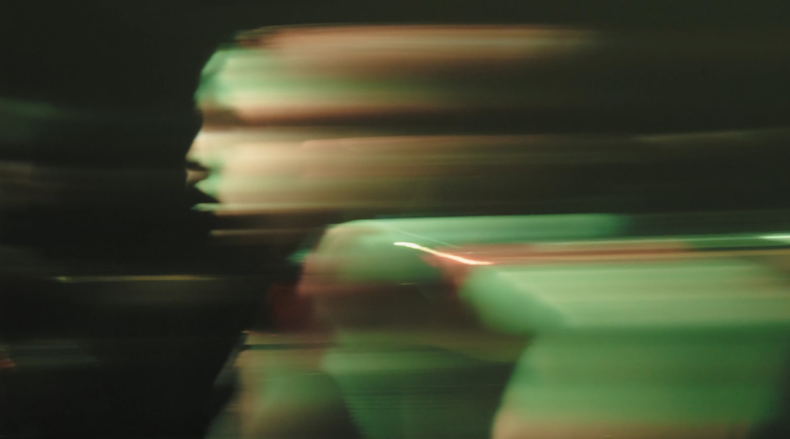 Maja Petric, Specimens of Time: Rebirth, 2025