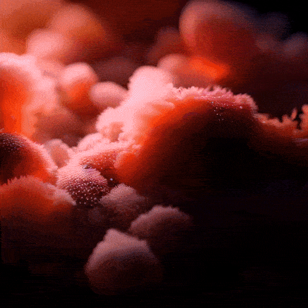 Agoria, Agoria {Bohem-IA} #26, 2023