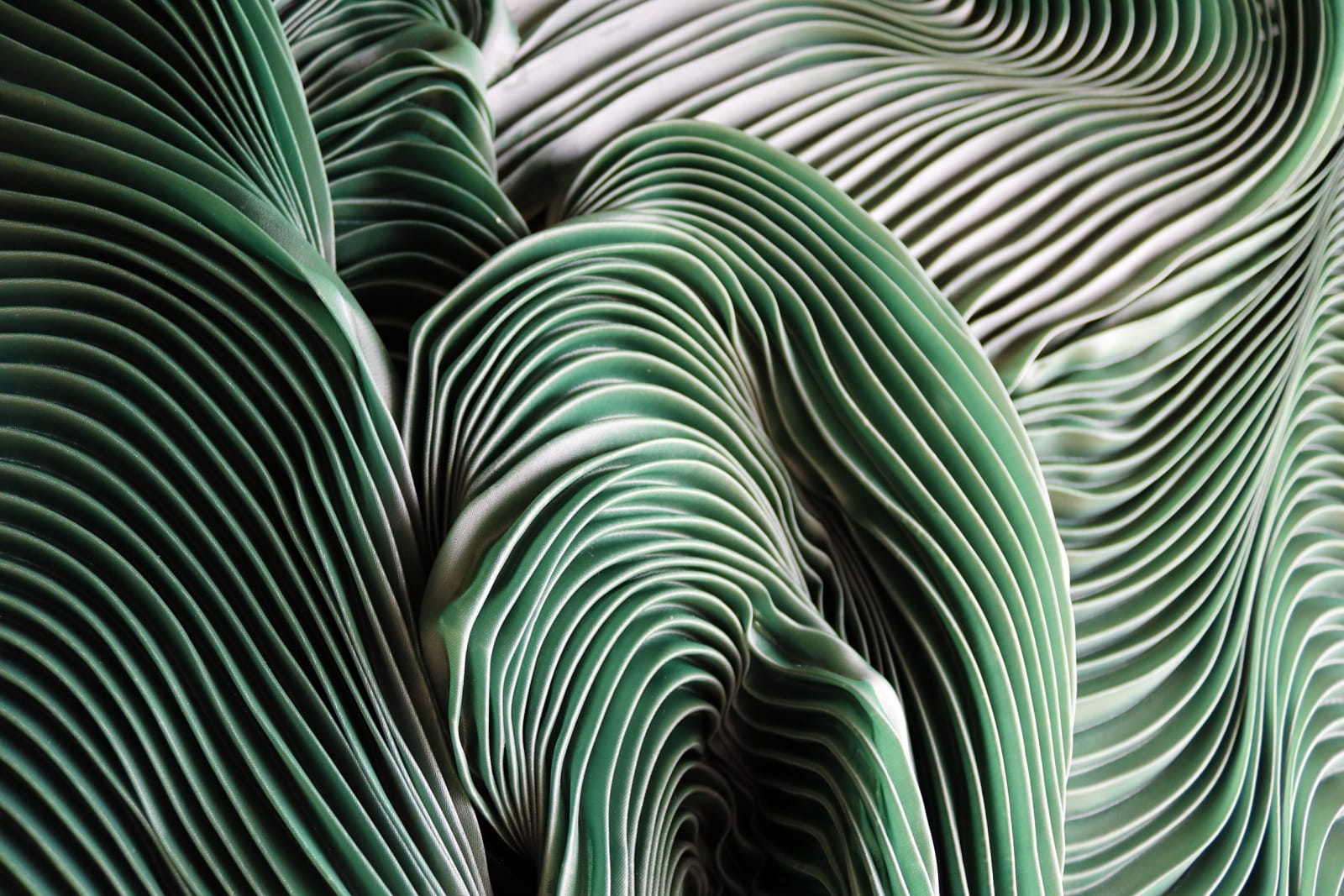 Zak, Kenny's Field, 2025