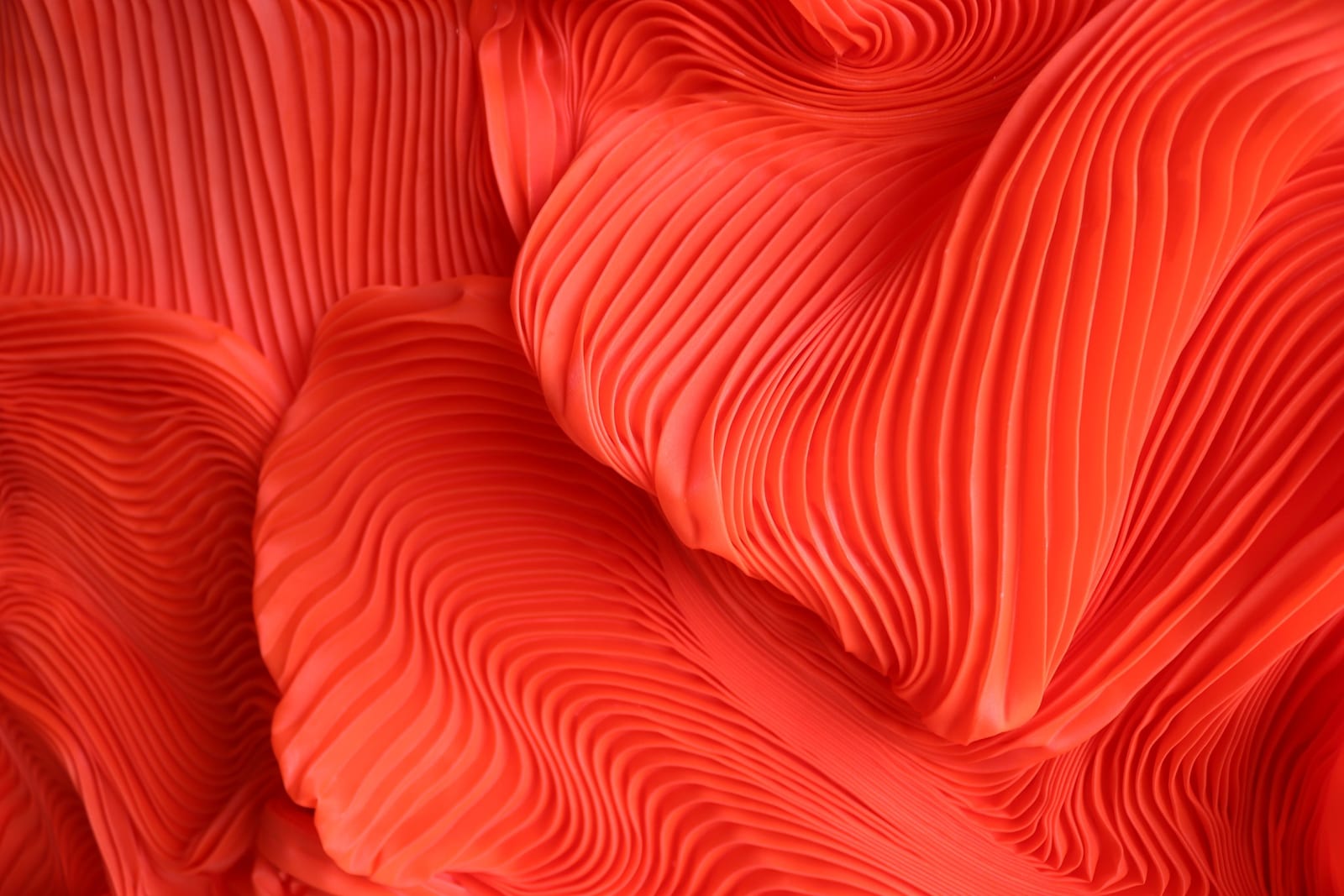 Zak, Meet me at the end, 2025