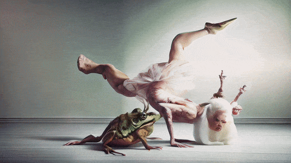Niceaunties, Frog Ballet, 2024