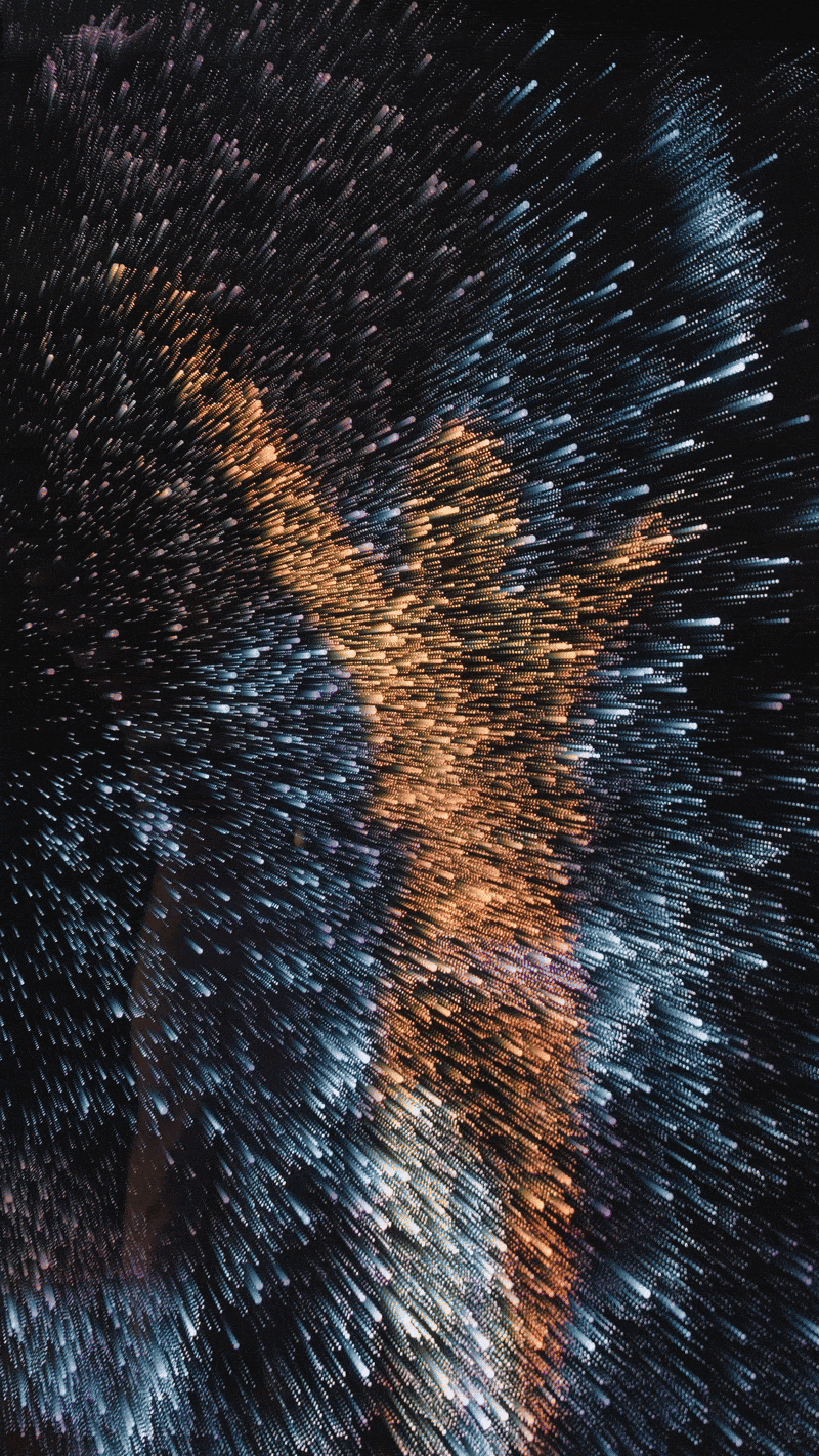 Maja Petrić, I the Light, 2024