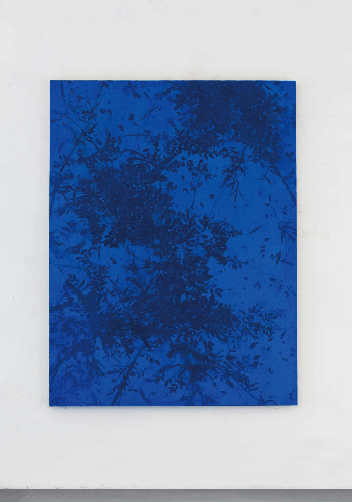 Pan Jian, A-20190104, 2019