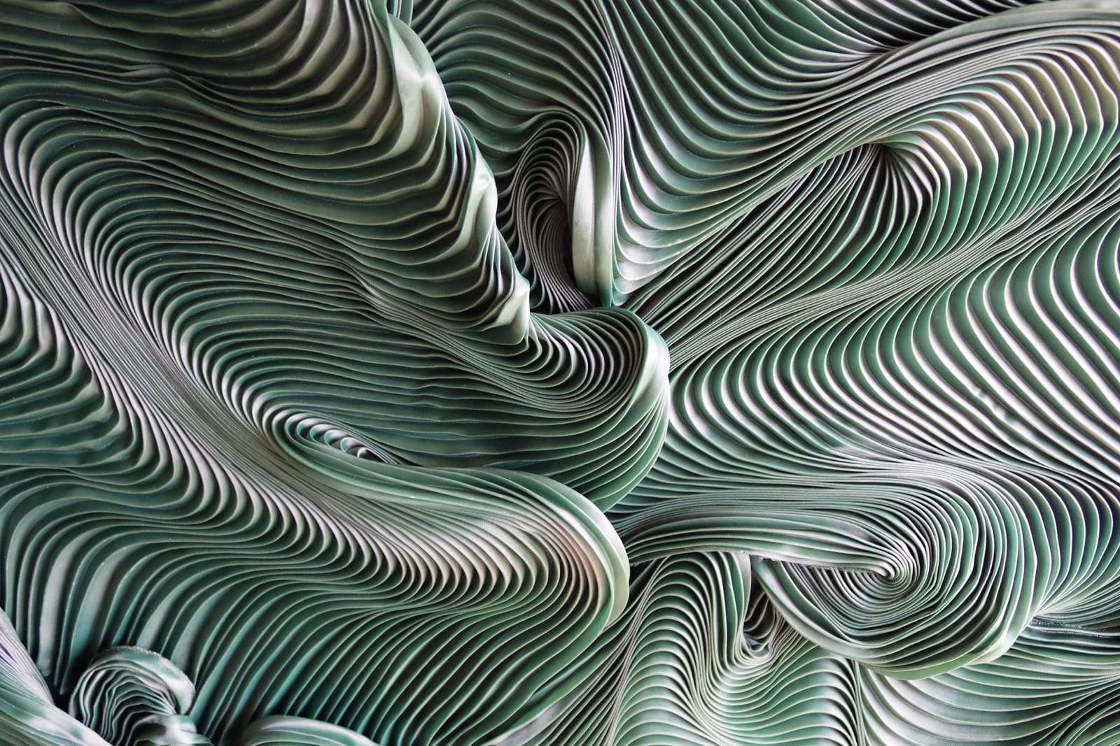 Zak, Kenny's Field, 2025