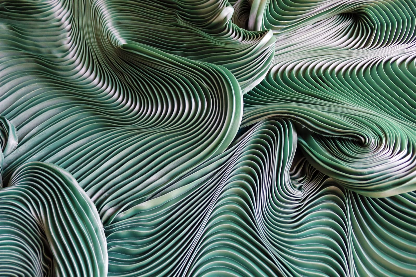 Zak, Kenny's Field, 2025