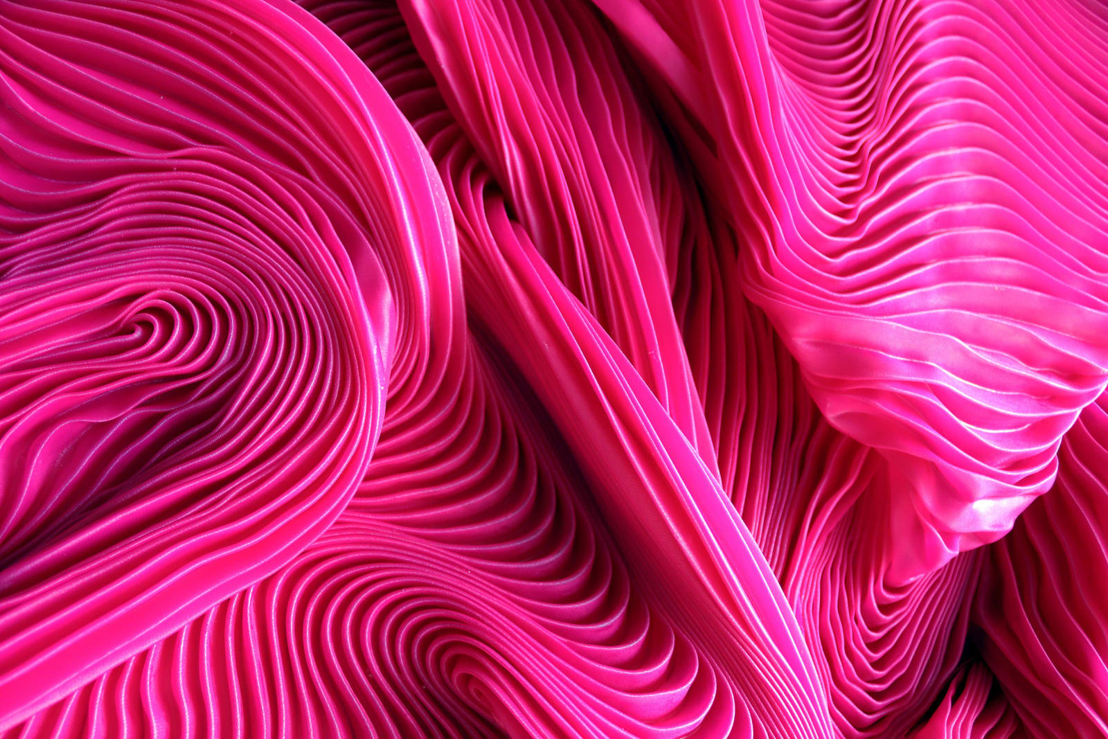 Zak, I am you, but you are not me, 2025