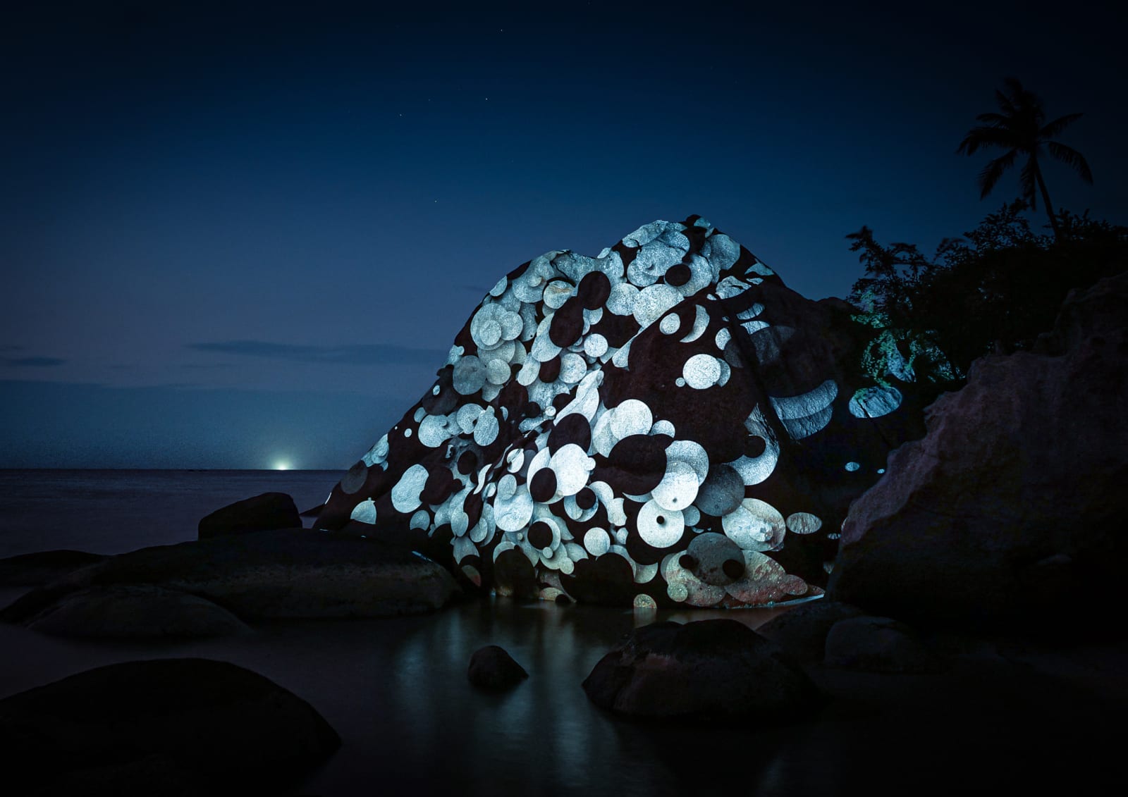 Philipp Frank, Nature Light Art, 2025