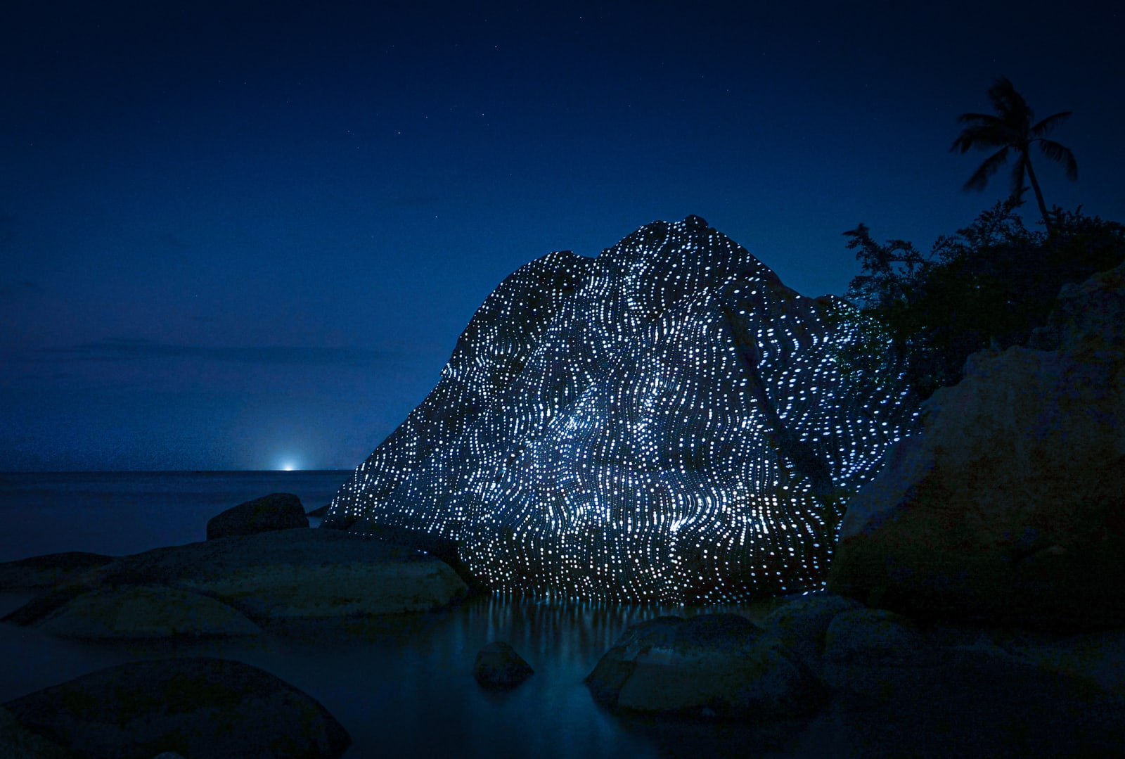 Philipp Frank, Nature Light Art, 2025