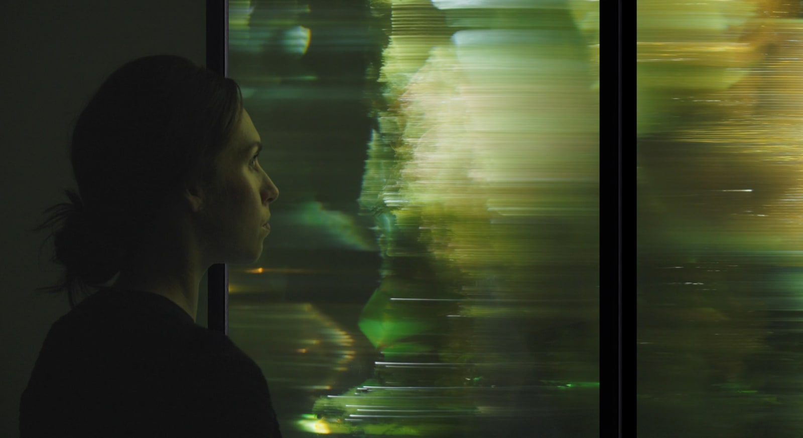 Maja Petrić, Specimens of Time, Hoh Rain Forest, 2025