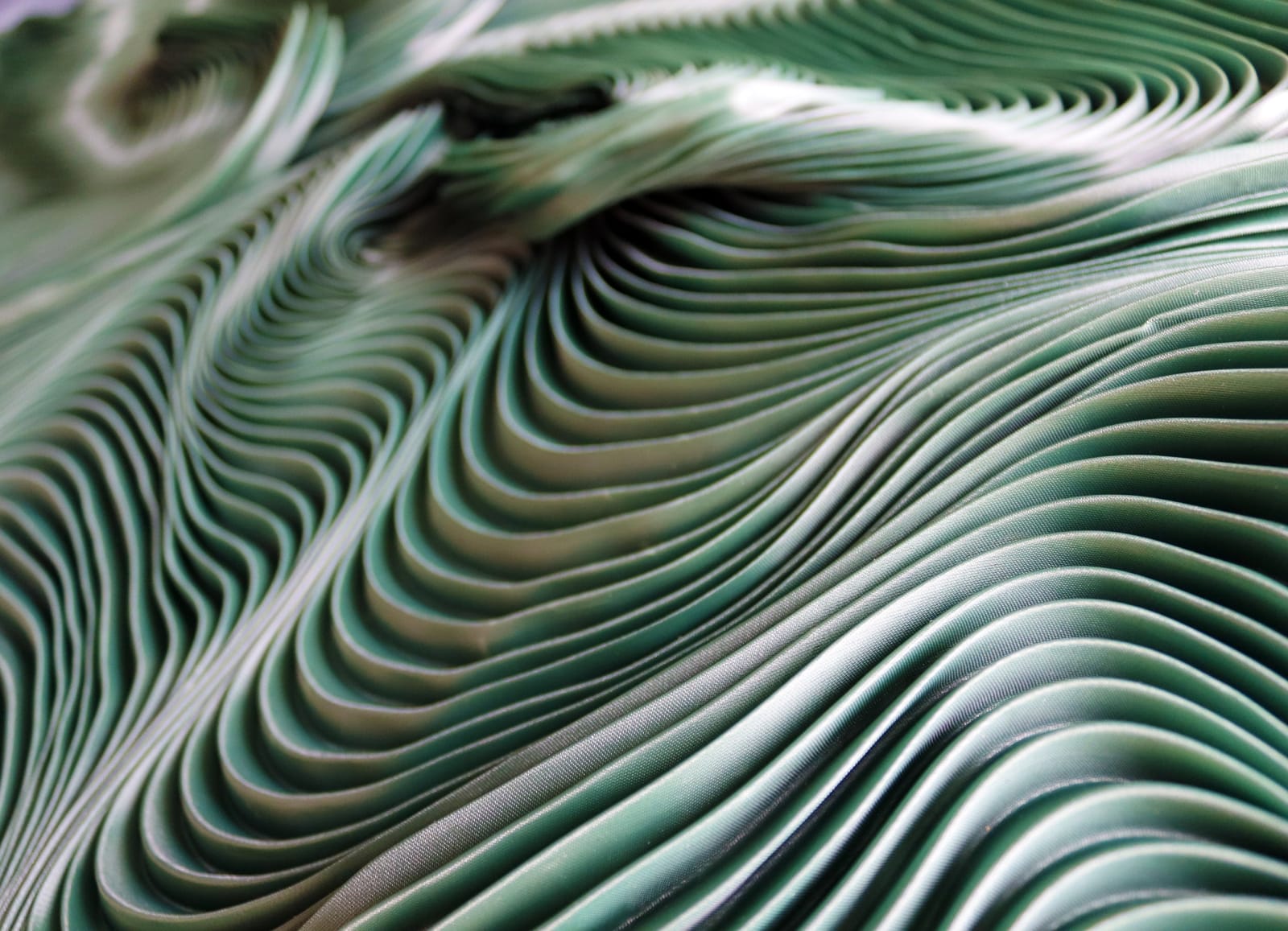 Zak, Kenny's Field, 2025