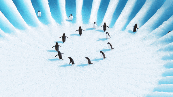 Gavin Shapiro, Twenty Straight Lines, 2023