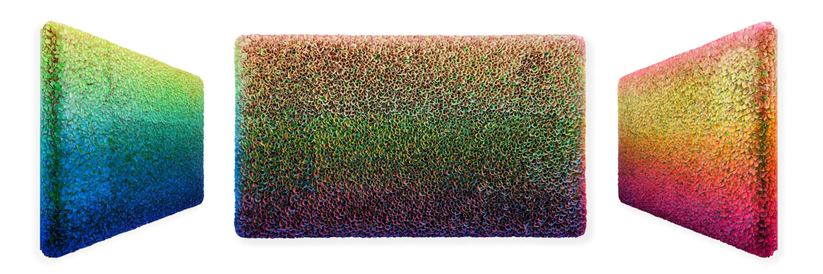 Zhuang Hong Yi, Petal Prism, 2025