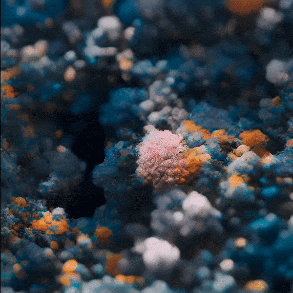 Agoria, {Bohem-IA} #15, 2023