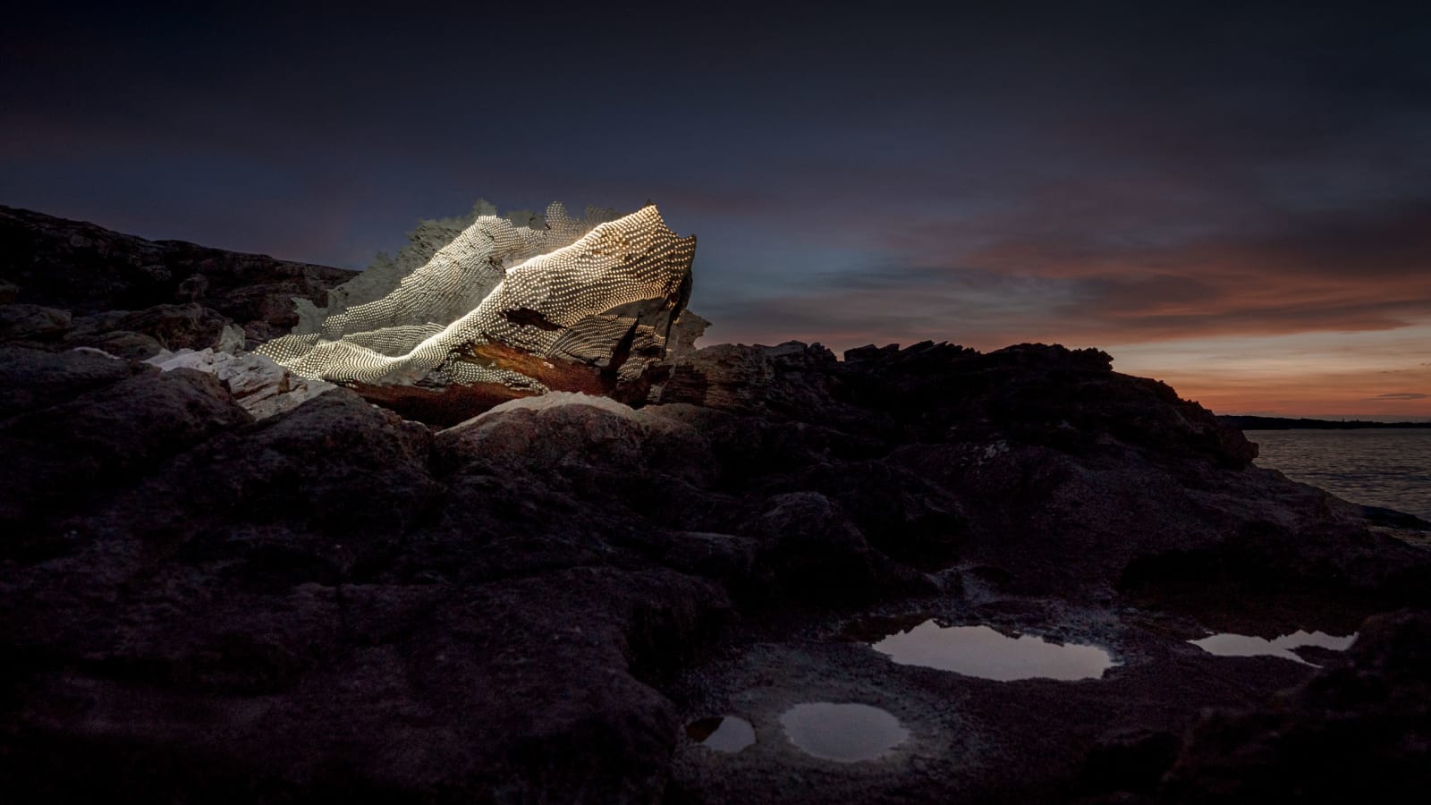 Philipp Frank, Nature Light Art, 2025