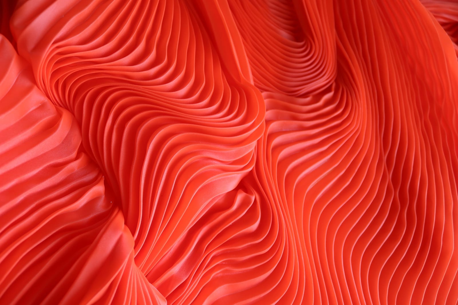 Zak, Meet me at the end, 2025