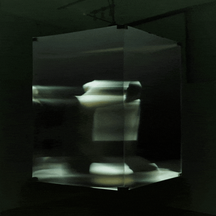 Maja Petric, Specimens of Time: Rebirth, 2025