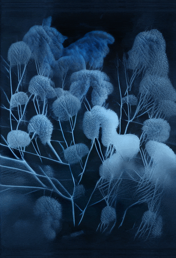 Ivona Tau, WINTER II, 2022