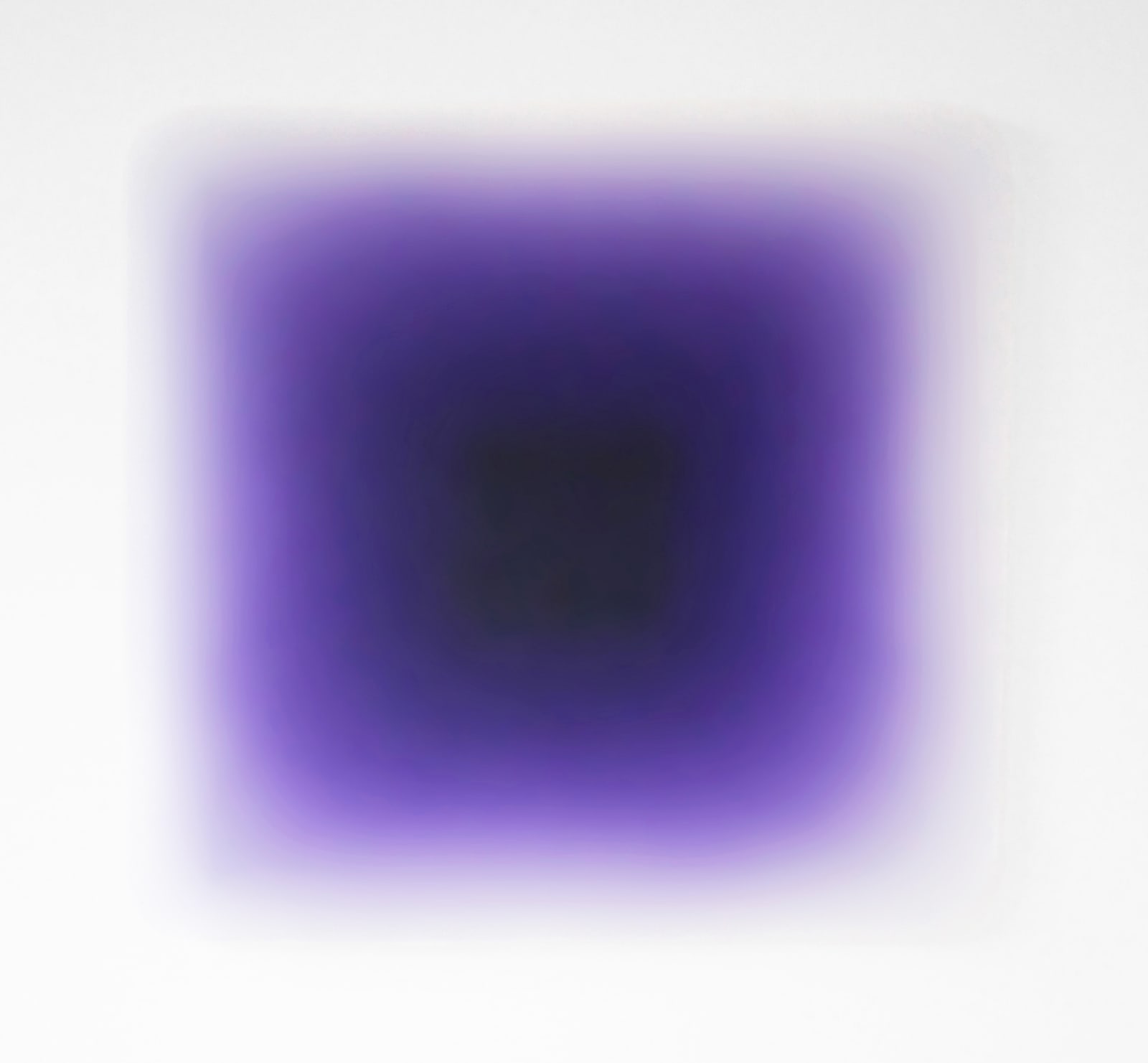 Peter Alexander, Purple Puff, 2014