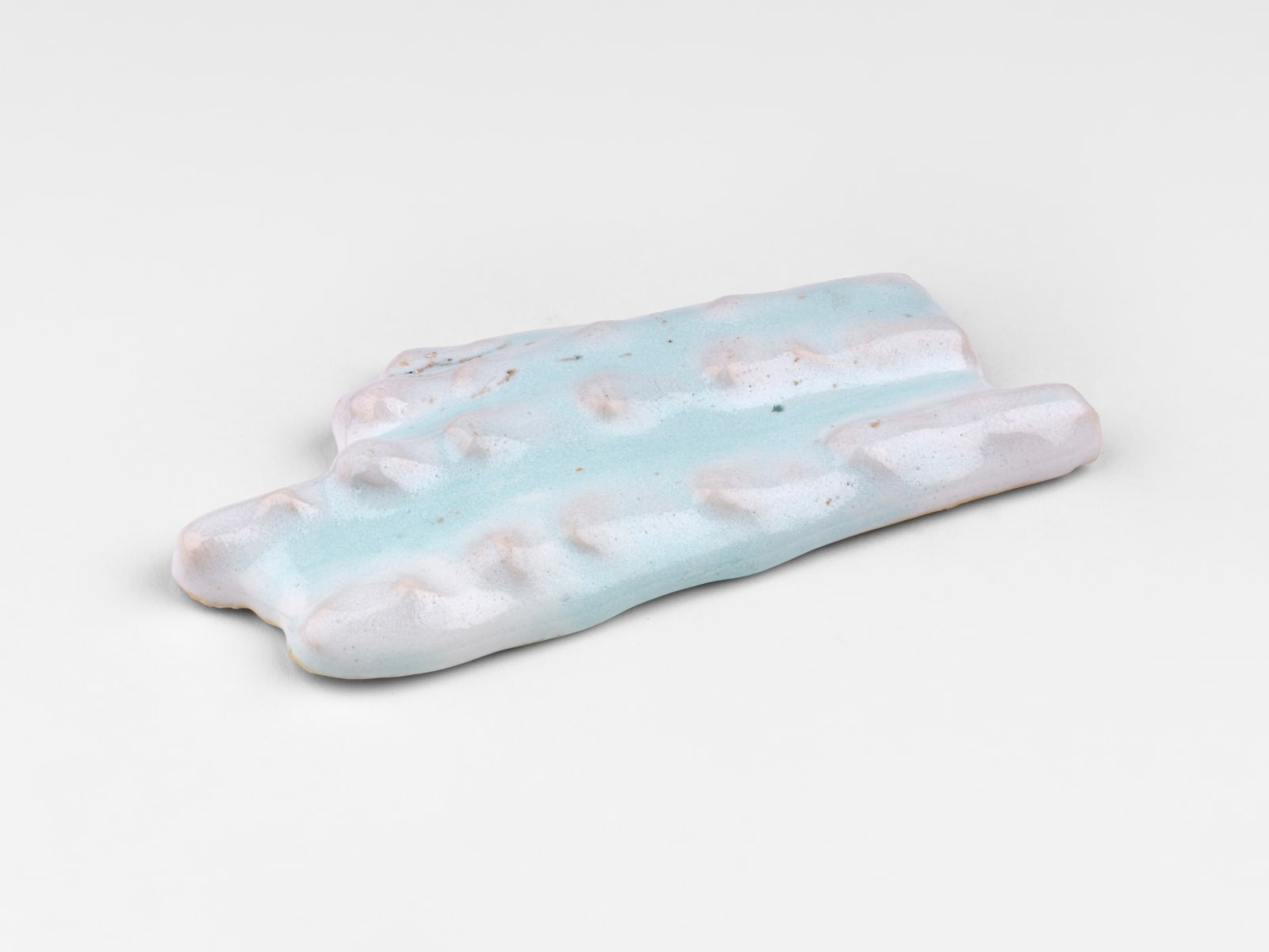 Meredith Gunderson, Blue Ghost Digs, 2024