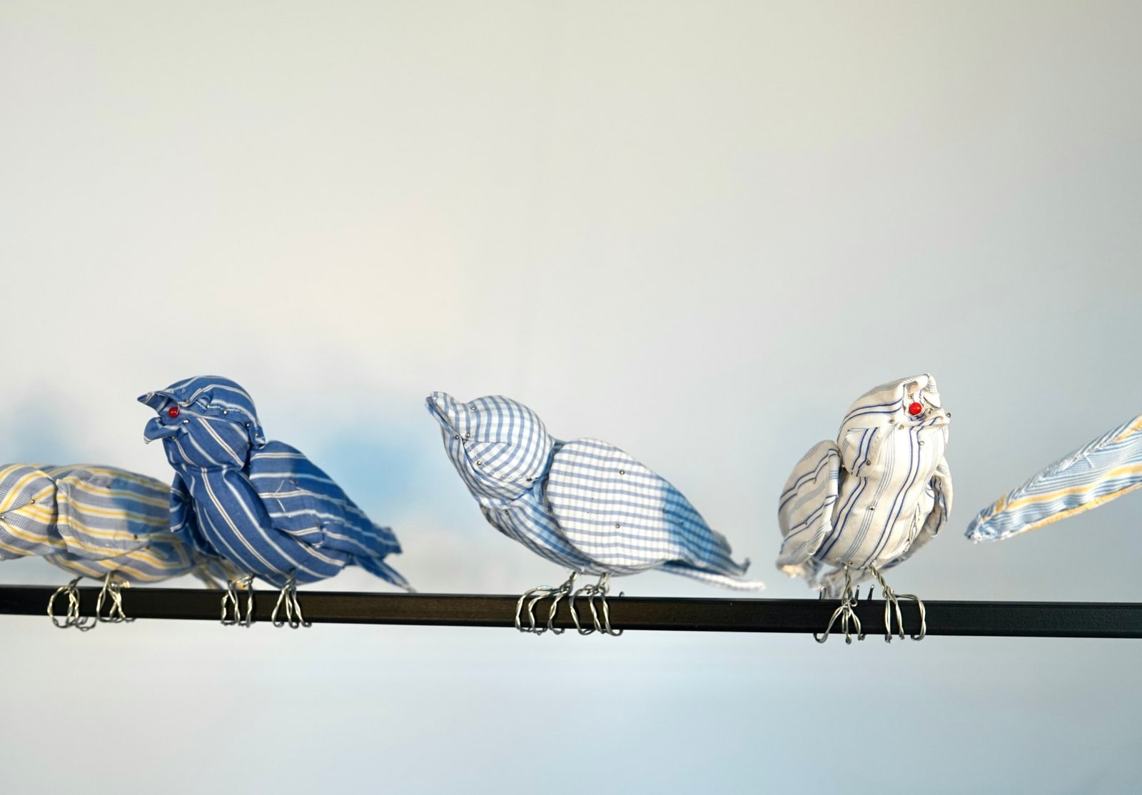 Hannah Scott, Crossing Lines , 2024