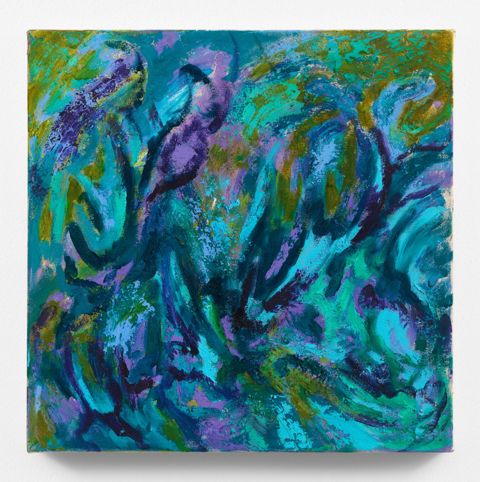 Ana Benavides, Afterglow, 2024