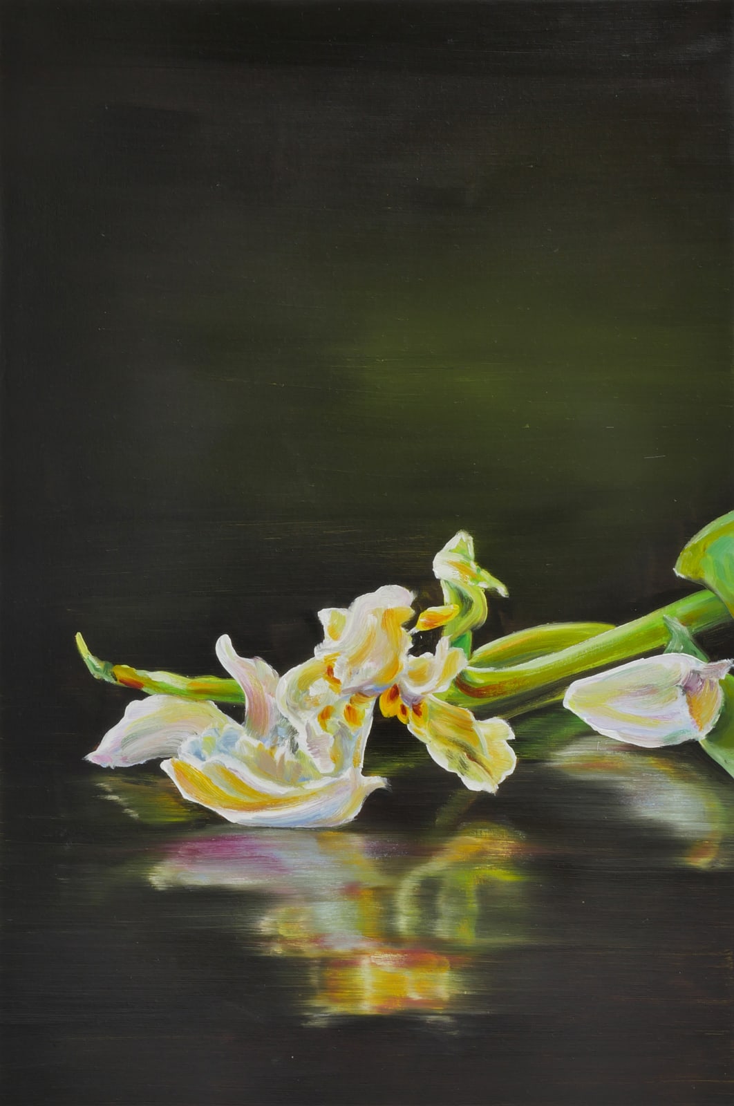 Cornelius Völker, Blüte (Bloom), 2025