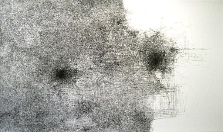 Nelleke Beltjens, Complex #1, 2006