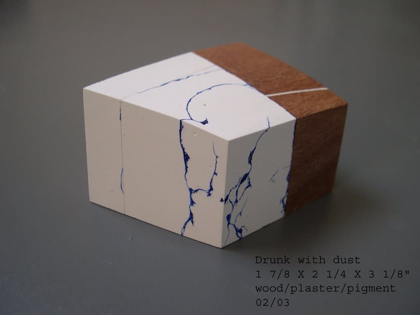 NELLEKE BELTJENS, Drunk with dust, 2002-03