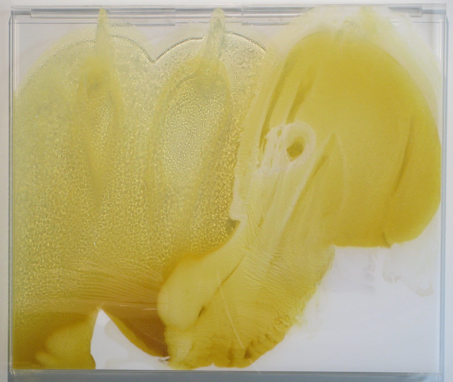 Luka Fineisen, Melange I, 2010