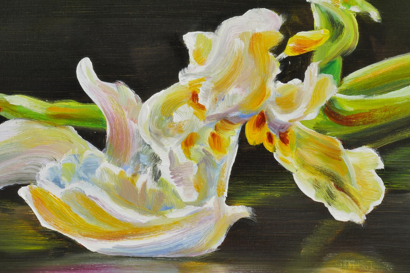 Cornelius Völker, Blüte (Bloom), 2025