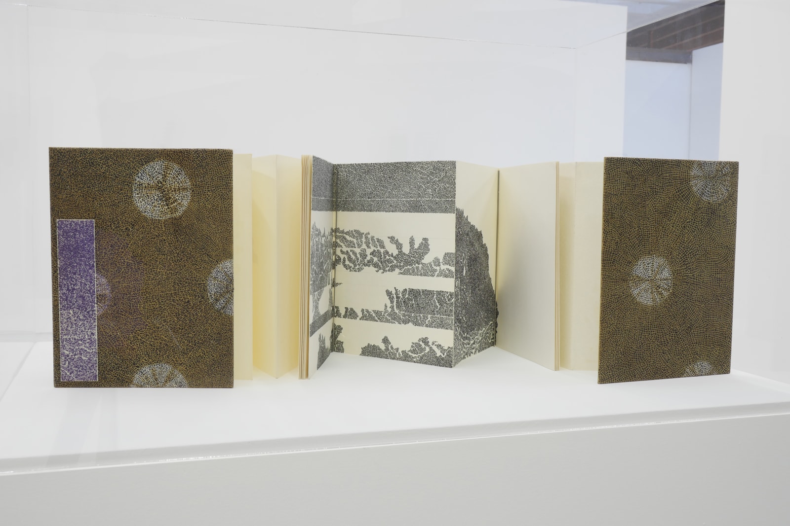 Bruce Conner, BOOK THREE, 1971