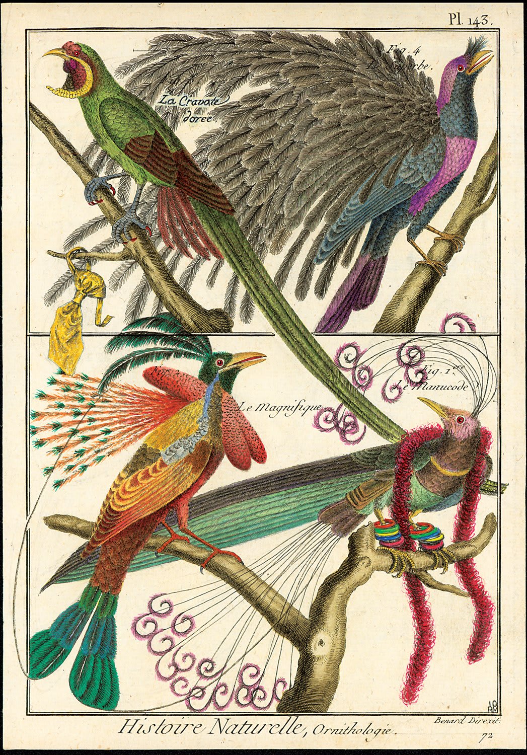 Ruth Marten, Ornithologie, 2010