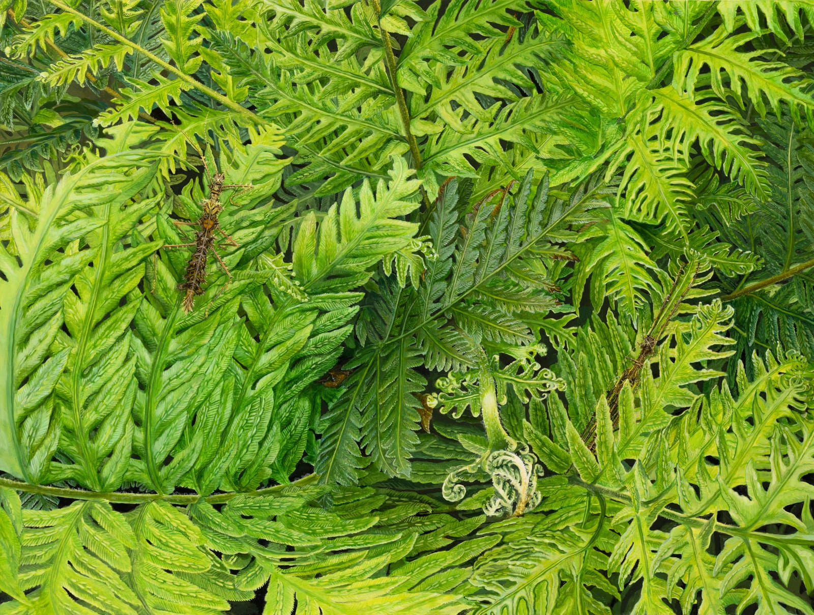 Isabella Kirkland, Super Green II: Taraxippus perezgelaberti, sp. nov.,, 2021