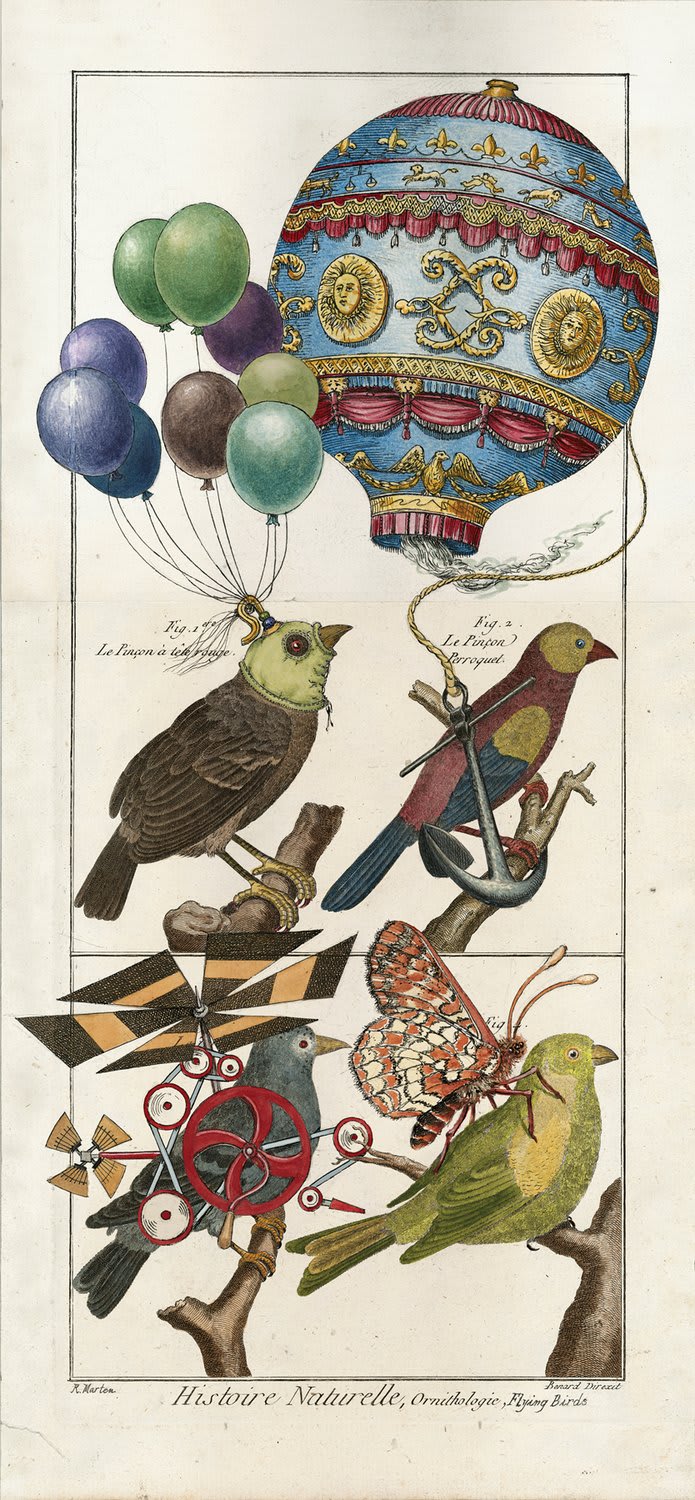 Ruth Marten, Flying Birds, 2011