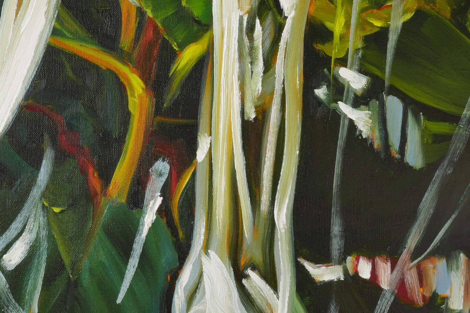 Cornelius Völker, Blätter (Leaves), 2025