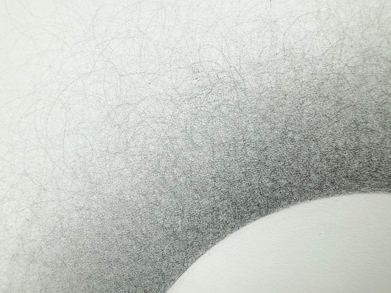 Tyrell Collins, Backlit Sphere on White (2), 2025