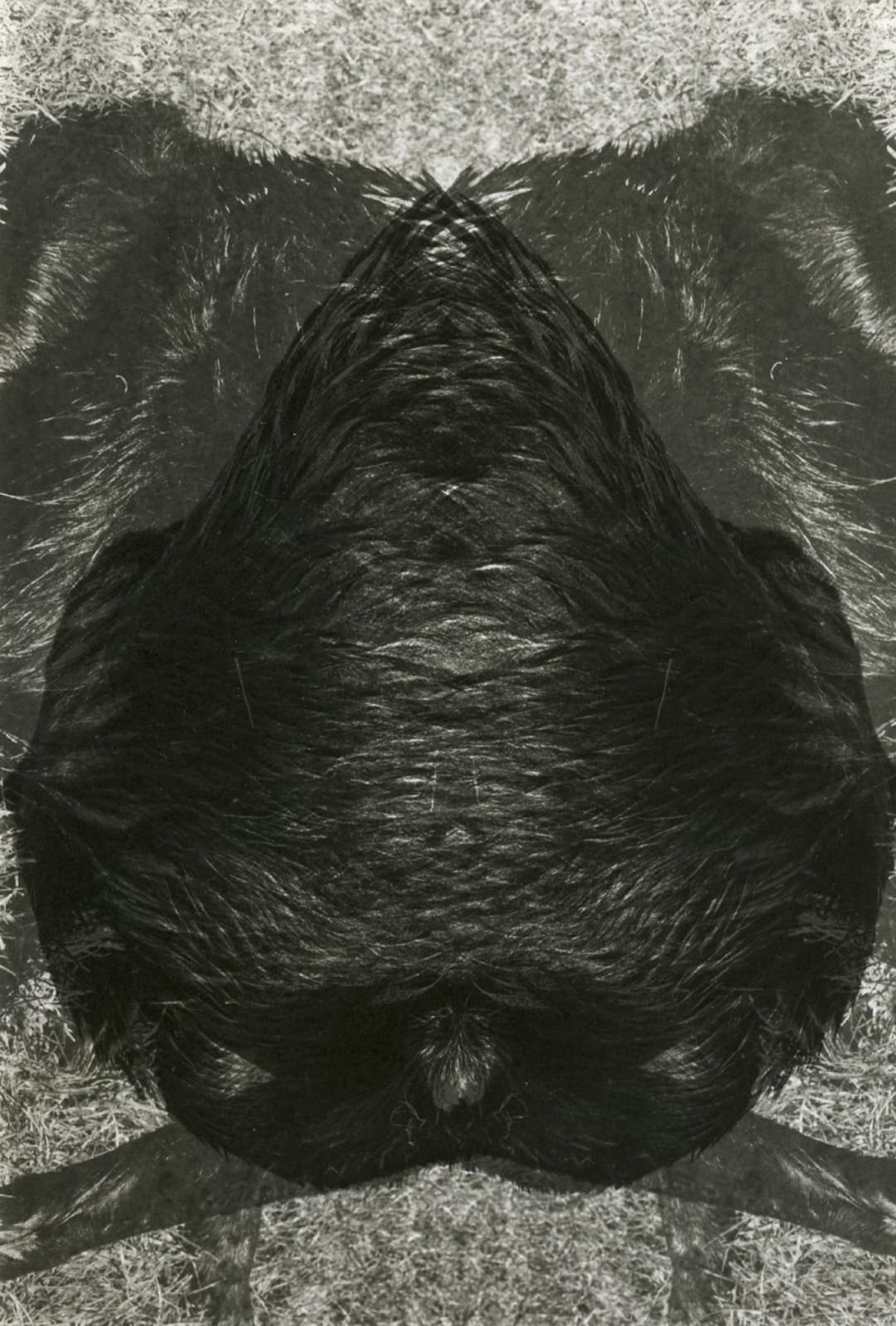 Jay DeFeo, Untitled, 1973