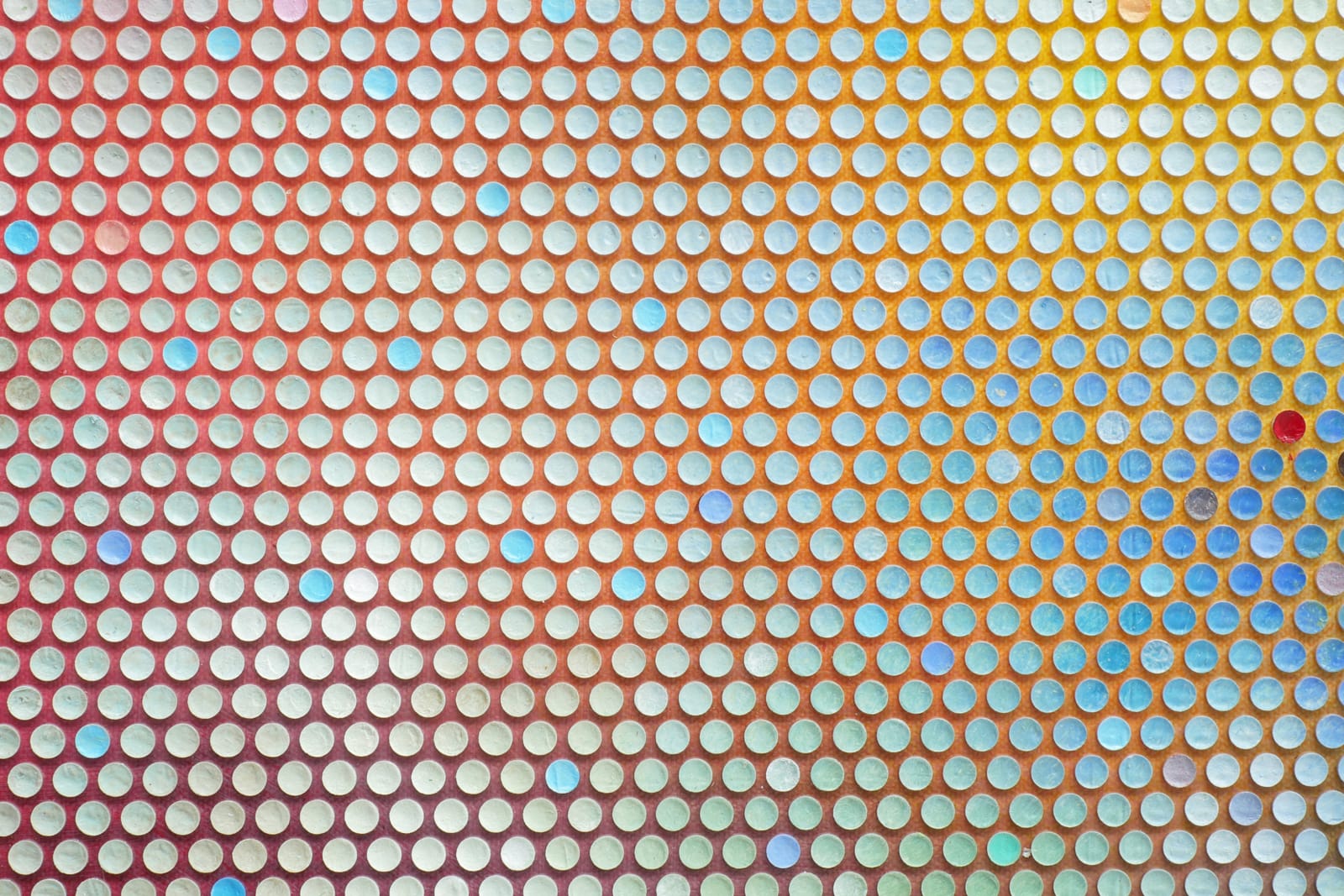 Emil Lukas, area of disturbance #2323, 2025