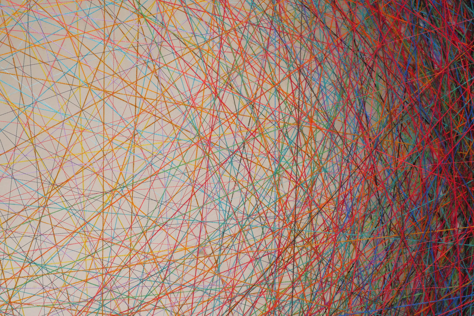 Emil Lukas, center right #1674, 2019