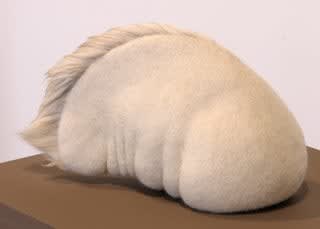 Stephanie Metz, Amorphozoa #12, 2010