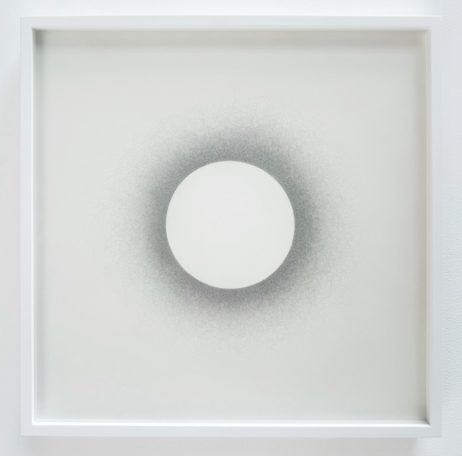Tyrell Collins, Backlit Sphere on White (2), 2025