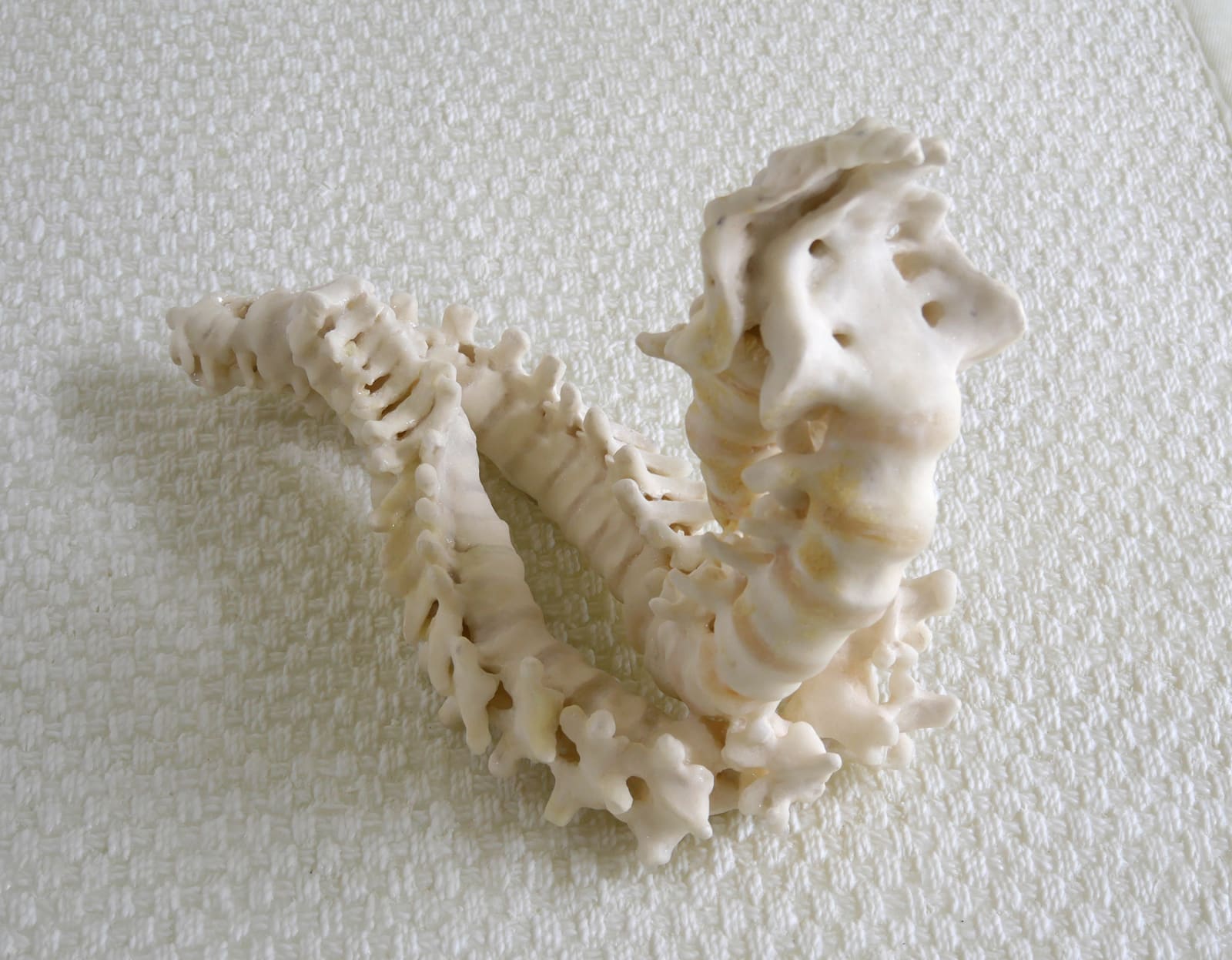 Janine Antoni, to twine, 2015