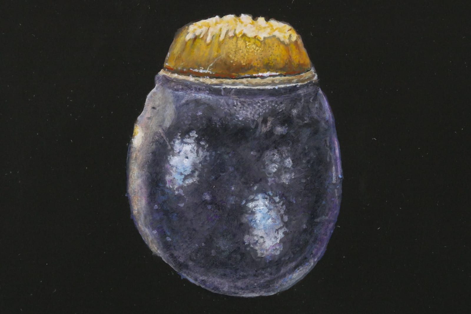 Isabella Kirkland, Phasmid Eggs II, 2022