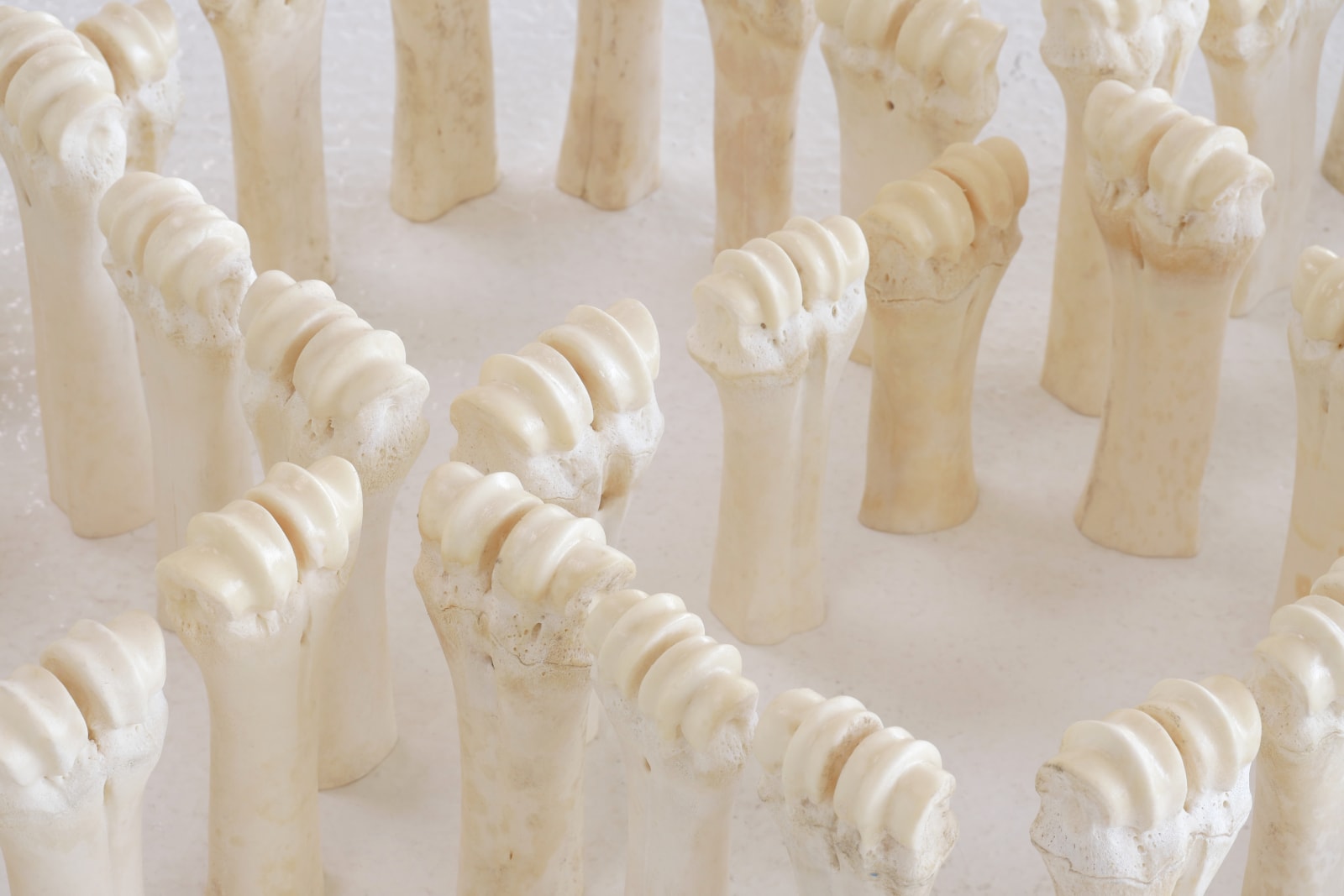 María Fernanda Cardoso, American Marble, 1992